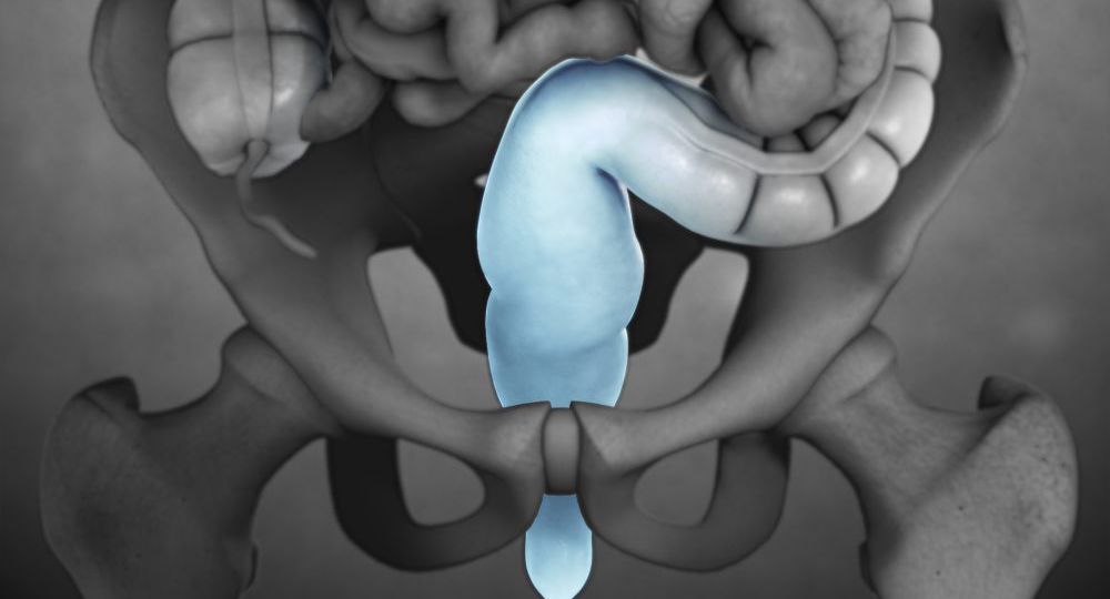 rectum baş7