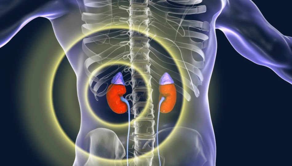 Adrenal gland tumors head1