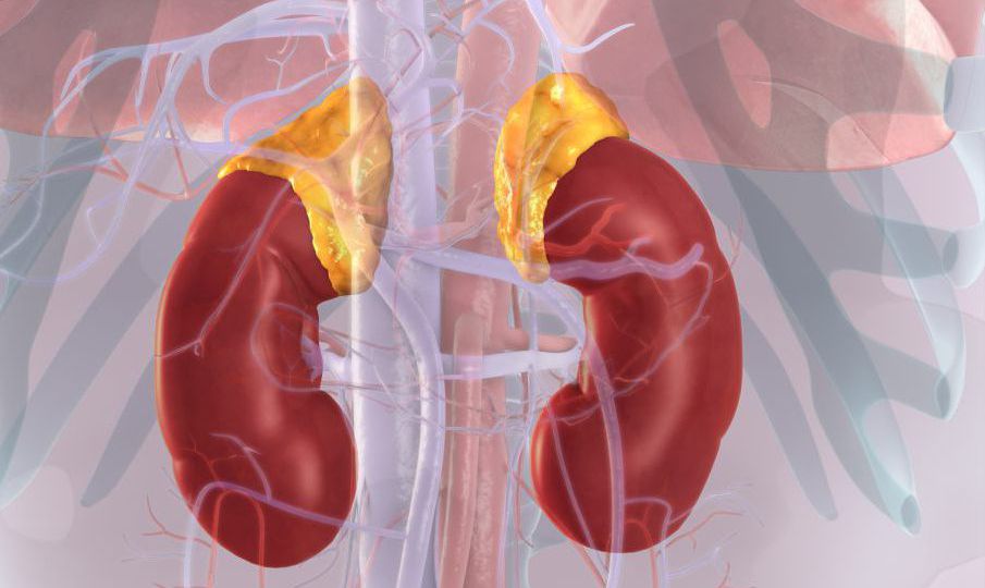Adrenal gland tumors head3