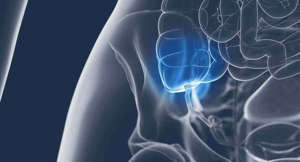 Appendectomy head8