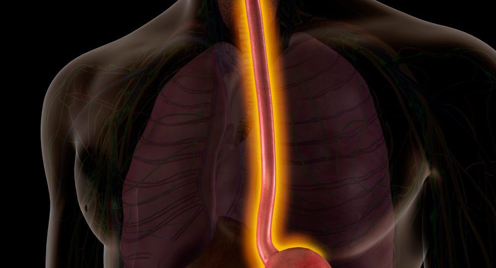Esophagus head1