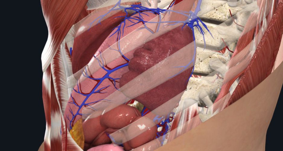 SPLEEN SURGERY H6