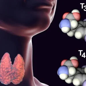 Thyroid Hormones head1