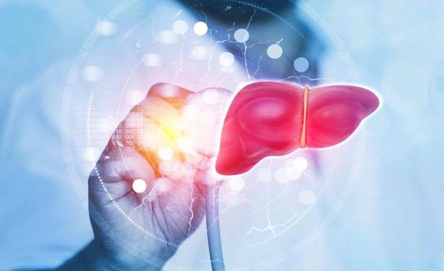 Doctor check and diagnose the human liver on science background.