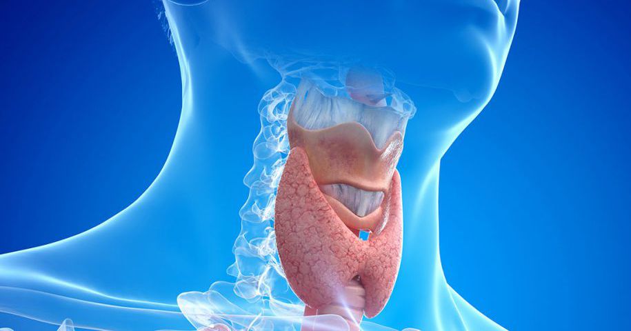 parathyroid surgery head2